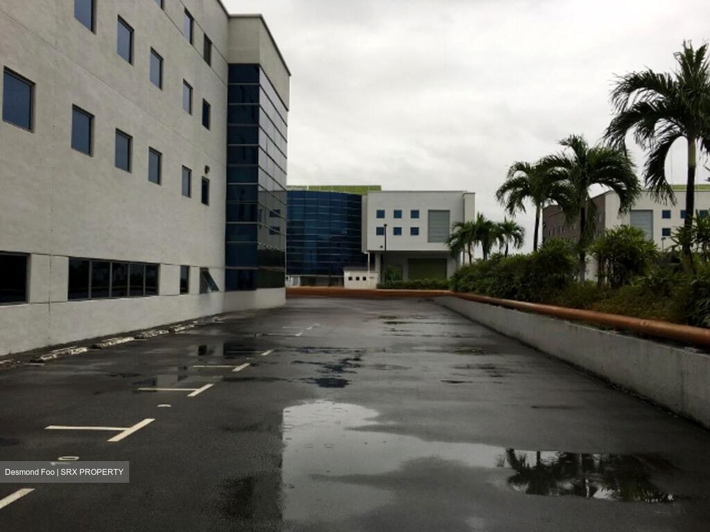 Woodlands Spectrum (D25), Factory #455252701